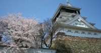 小倉城桜
